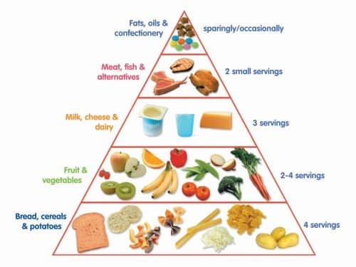 food pyramid with nutrition