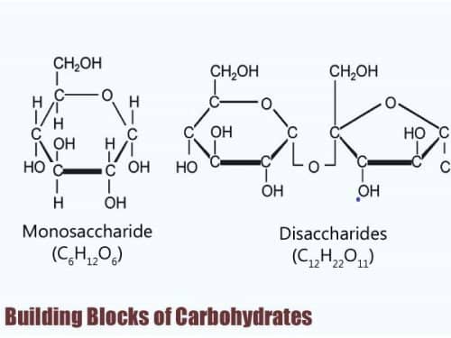 Carbohydrates in nutrition